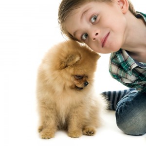 Kinder bringen Spitz in Not