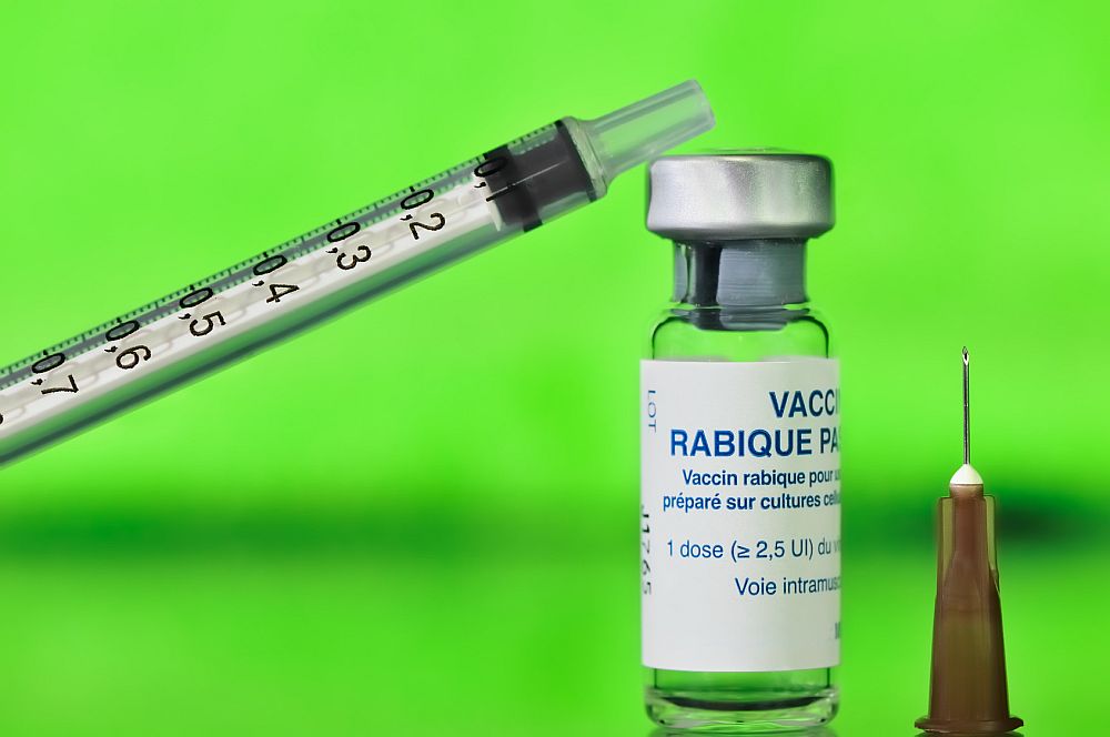 Sind Impfungen immer sinnvoll? Dies wird kontrovers diskutiert.