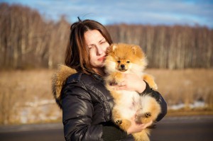 Spitz Lebenserwartung