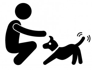 Hund spielen