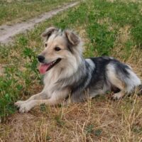 MARTA - ca. 2 Jahre, ca. 38 cm