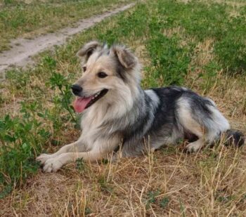 MARTA - ca. 2 Jahre, ca. 38 cm