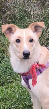 Hera sucht Ihre Familie