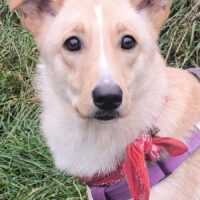 Hera sucht Ihre Familie